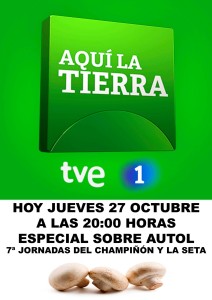 14884427_1201703243256781_4476314427164673509_o