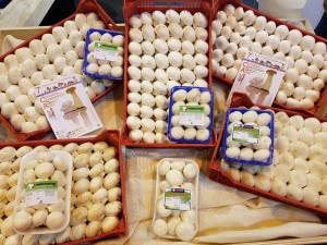 2016-10-07-photo-00000020