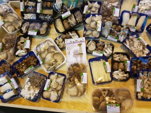 2016-10-07-photo-00000022