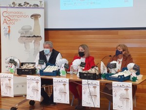 WhatsApp Image 2021-10-26 at 17.31.41 (1)