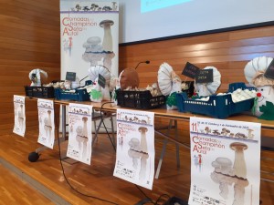 WhatsApp Image 2021-10-26 at 17.31.41