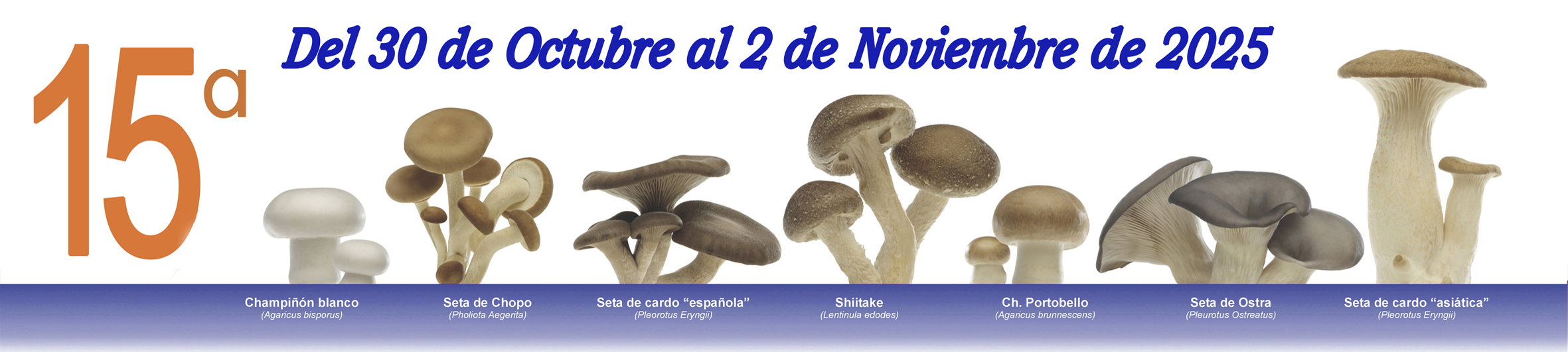 Jornadas del champiñon y la seta de Autol Jornadas del champiñon y la seta de Autol