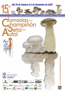 CARTEL DEFINITIVO 2025 cweb